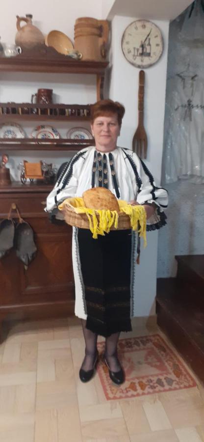 Pensiunea Iulia Rod Kültér fotó